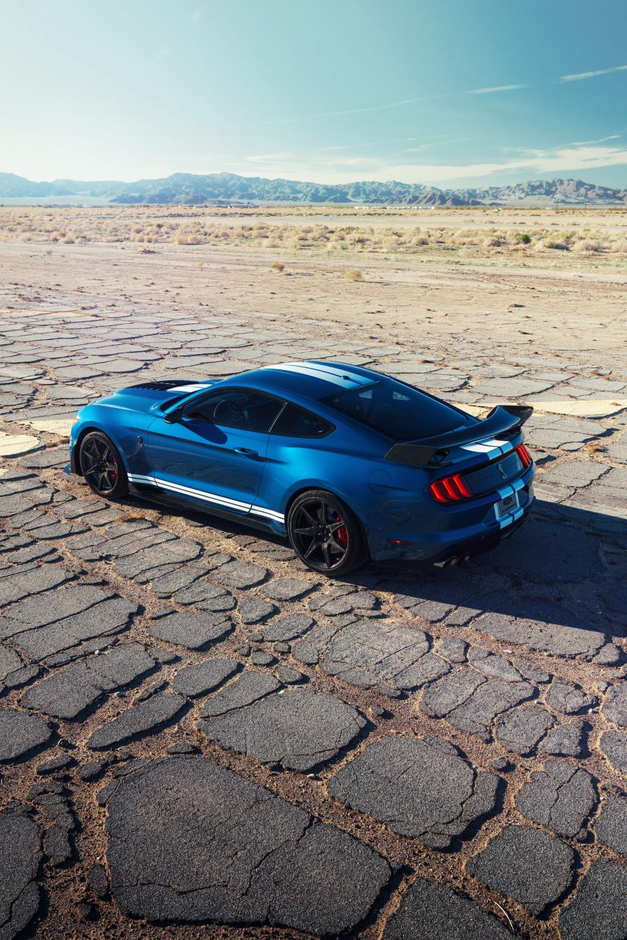  Ford Mustang Shelby GT500 2019 года  (фото 41 из 119)